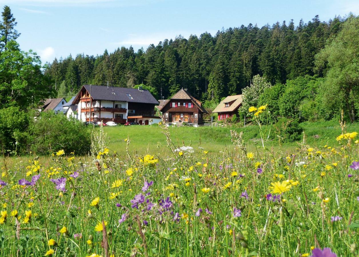 Landhaus Anja Freudenstadt Extérieur photo